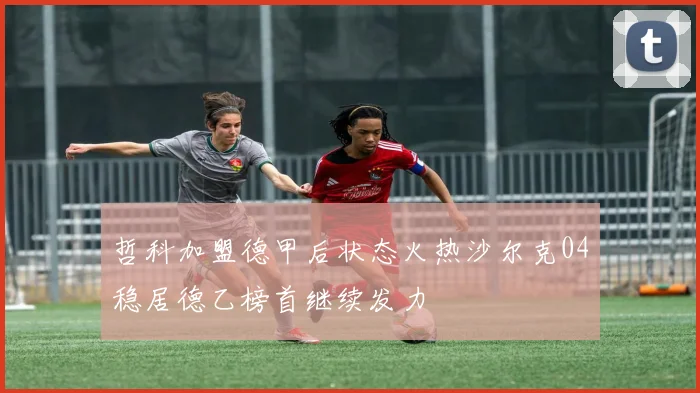 哲科加盟德甲后状态火热沙尔克04稳居德乙榜首继续发力